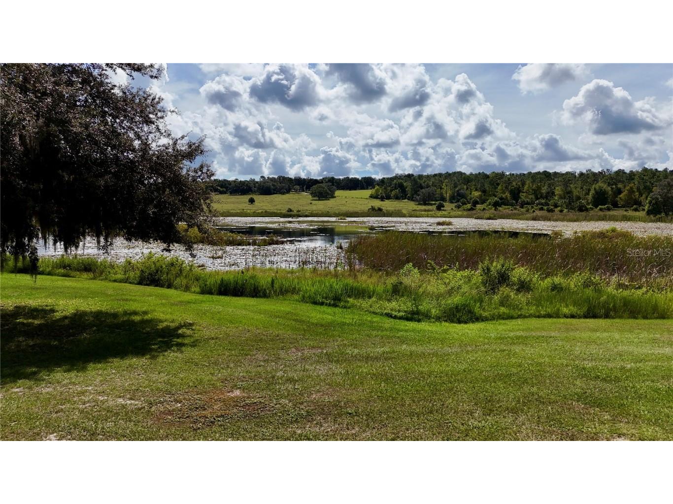 7089 Number Two Road Yalaha FL 34797 G5101347 image9