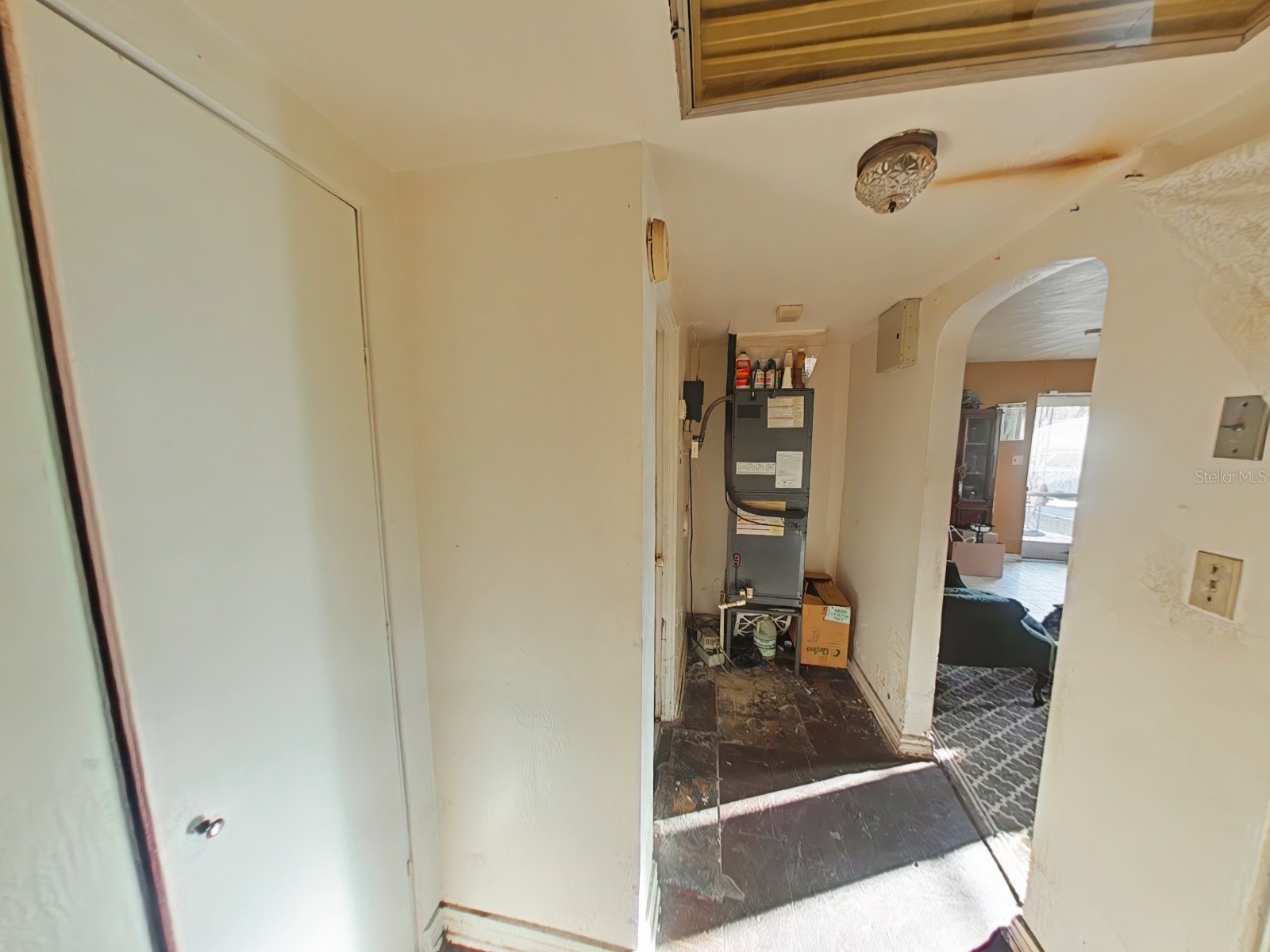 709 Alton Avenue Orlando FL 32804 G5106023 image3