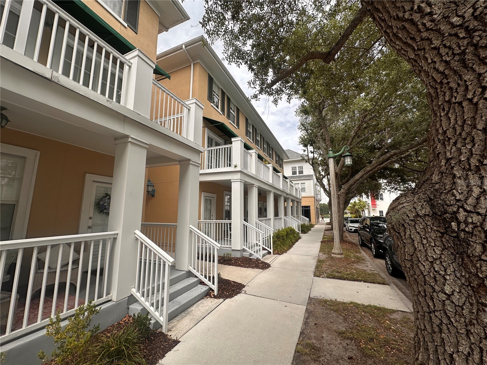 709 Bloom Street #240 Celebration FL 34747 S5151599 image1