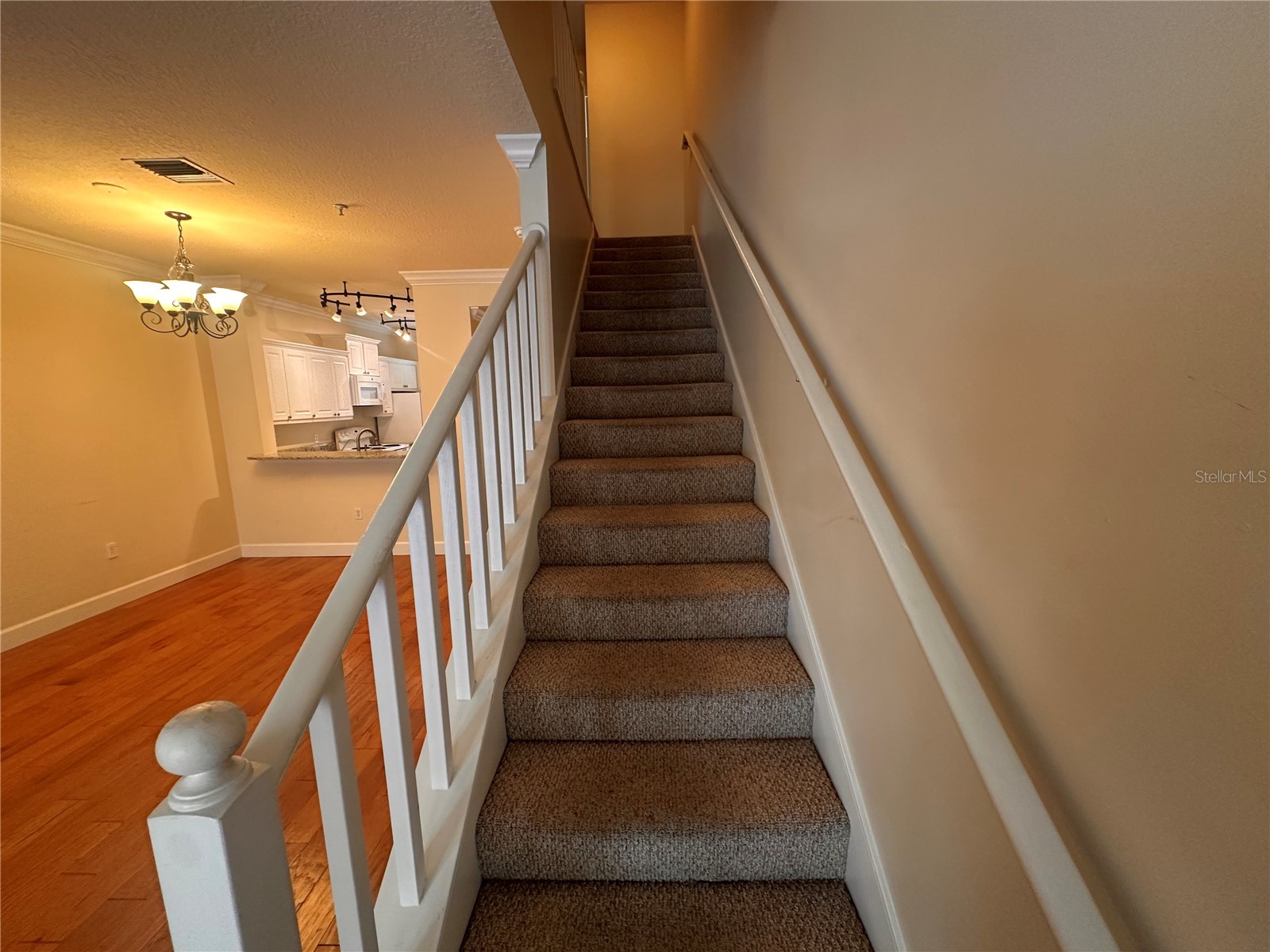 709 Bloom Street #240 Celebration FL 34747 S5151599 image13