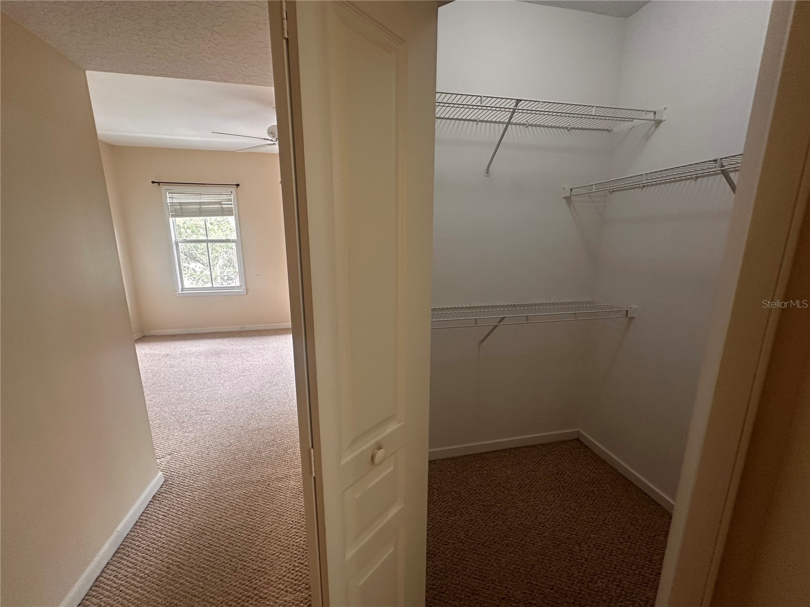 709 Bloom Street #240 Celebration FL 34747 S5151599 image17