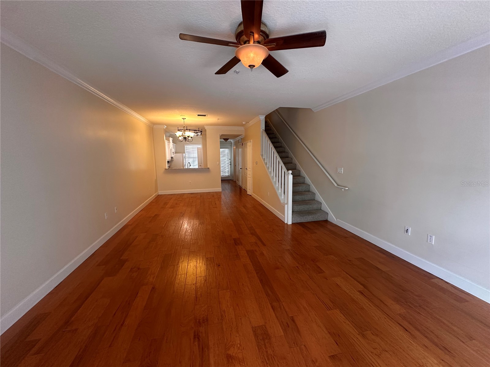 709 Bloom Street #240 Celebration FL 34747 S5151599 image4