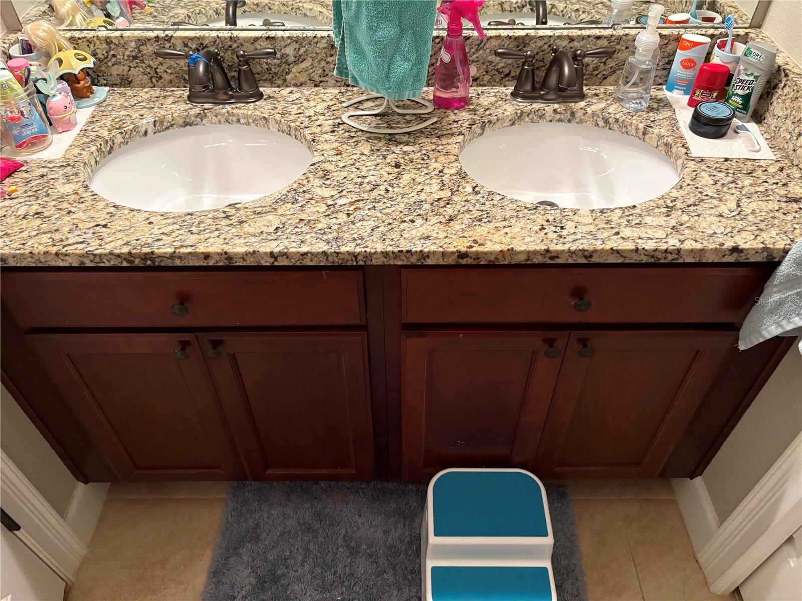 709 Calabria Way Howey In The Hills FL 34737 G5096343 image14