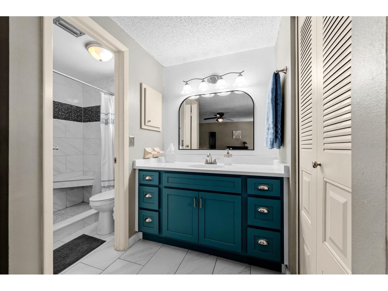 709 Caliente Drive Brandon FL 33511 TB8528657 image17