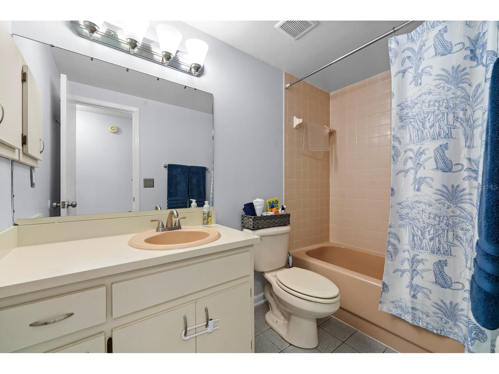 709 Caliente Drive Brandon FL 33511 TB8528657 image26