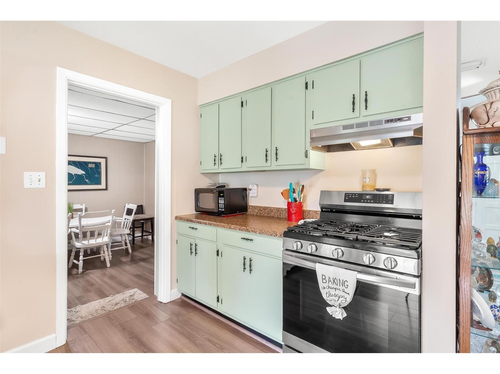 709 Cindy Avenue Fruitland Park FL 34731 G5113956 image12