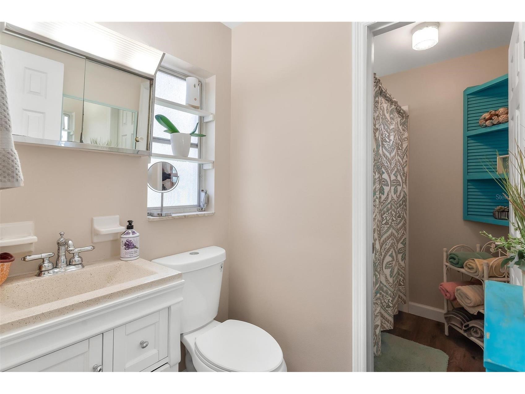 709 Cindy Avenue Fruitland Park FL 34731 G5113956 image21
