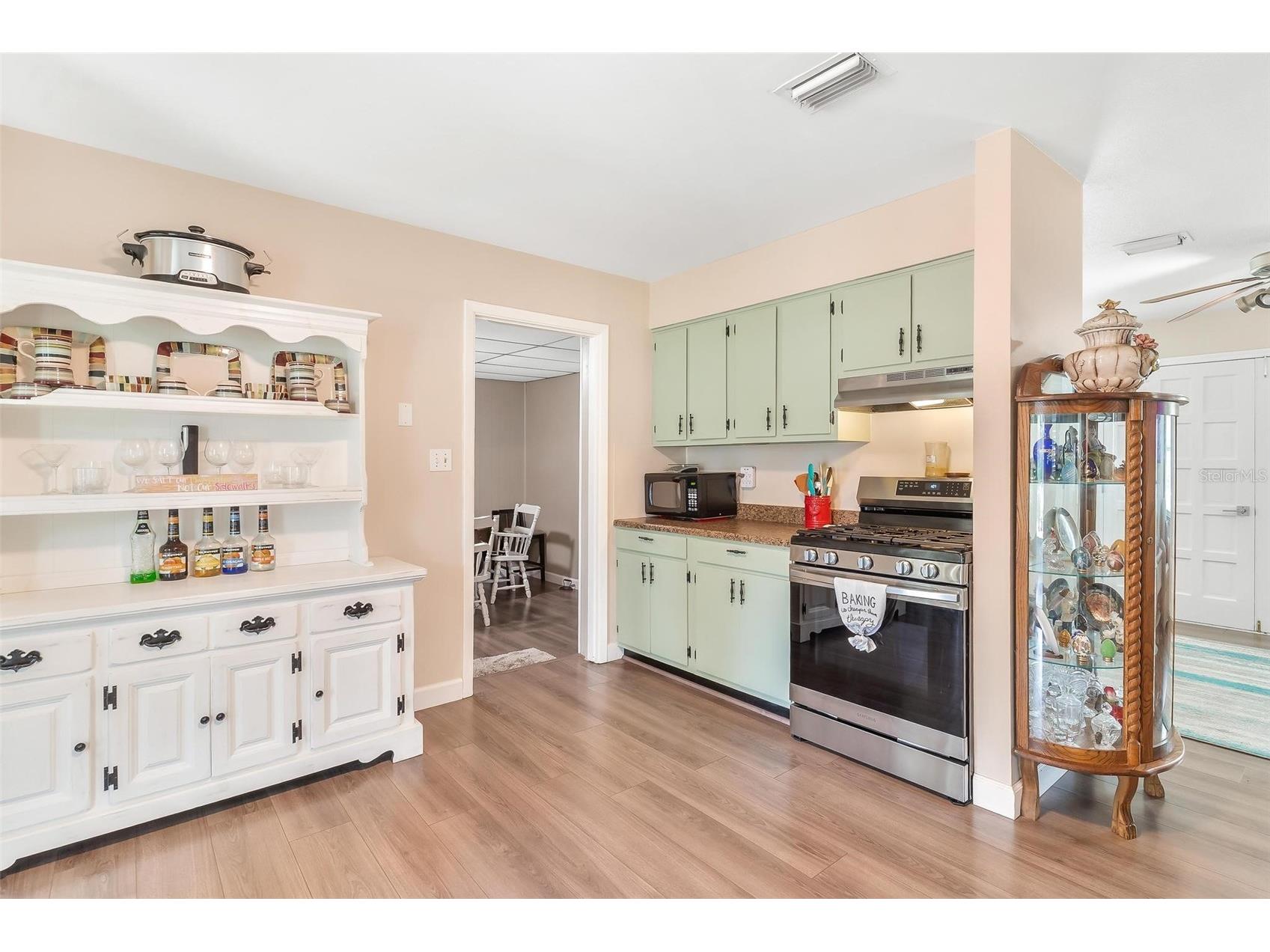 709 Cindy Avenue Fruitland Park FL 34731 G5113956 image9