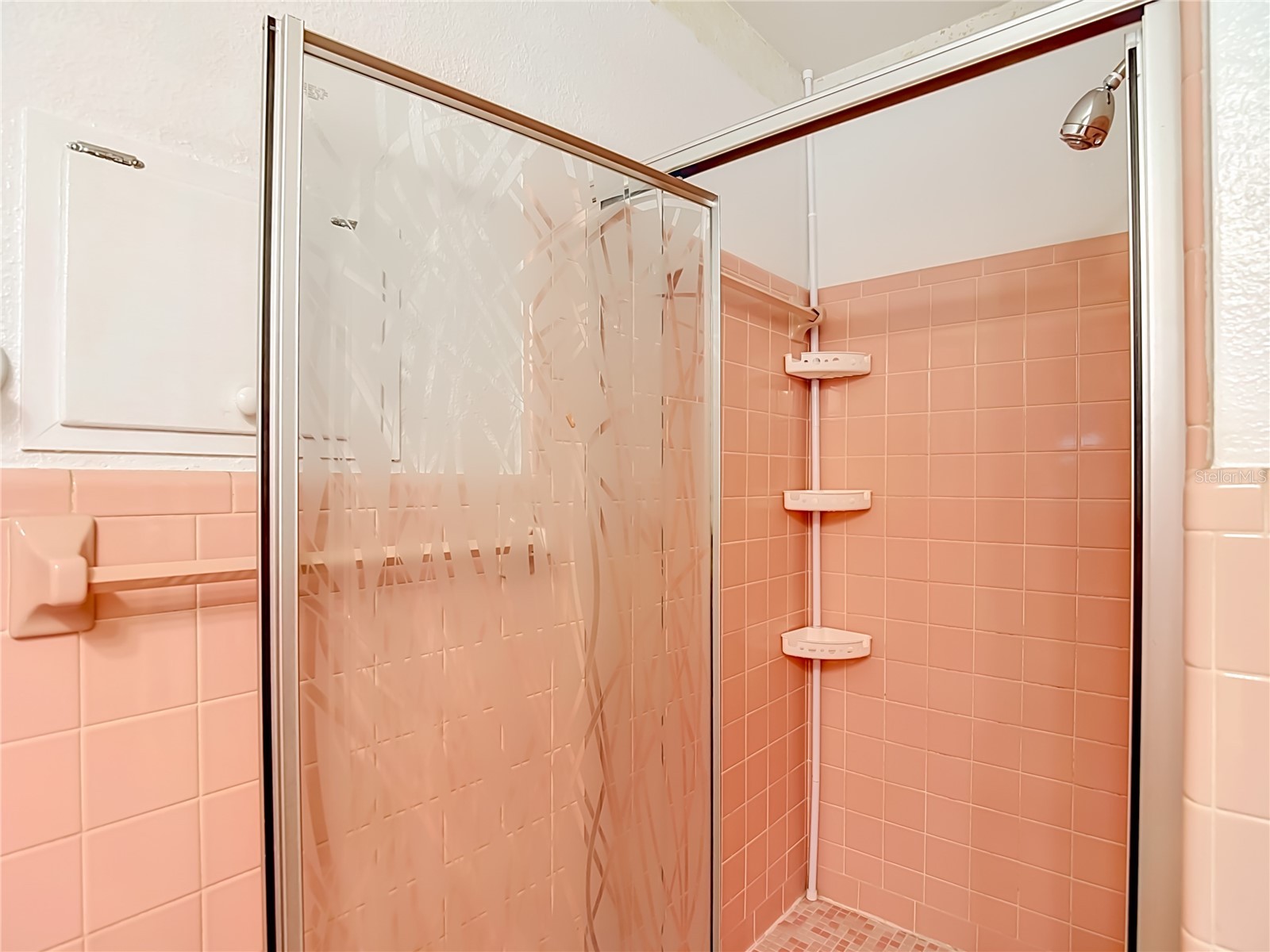 709 E Morgan Street Brandon FL 33510 TB8510222 image35