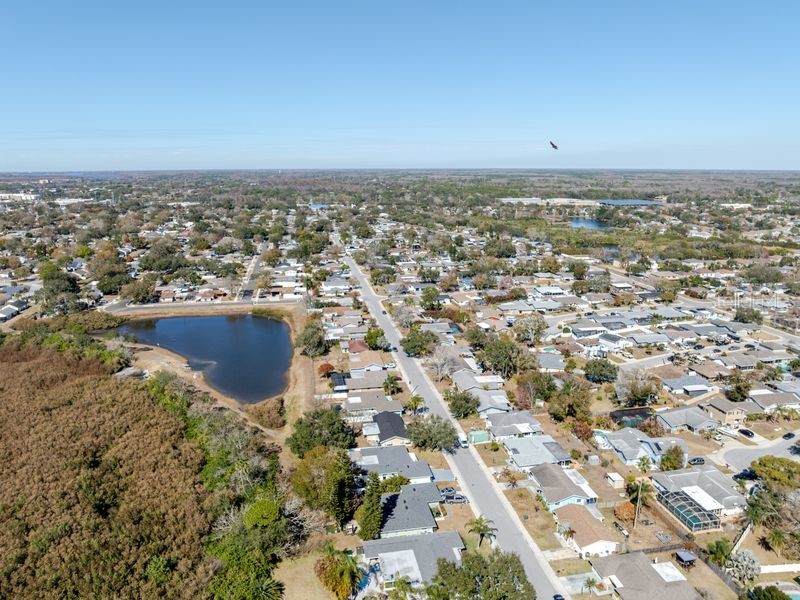 709 Lemonwood Drive Oldsmar FL 34677 TB8475735 image45