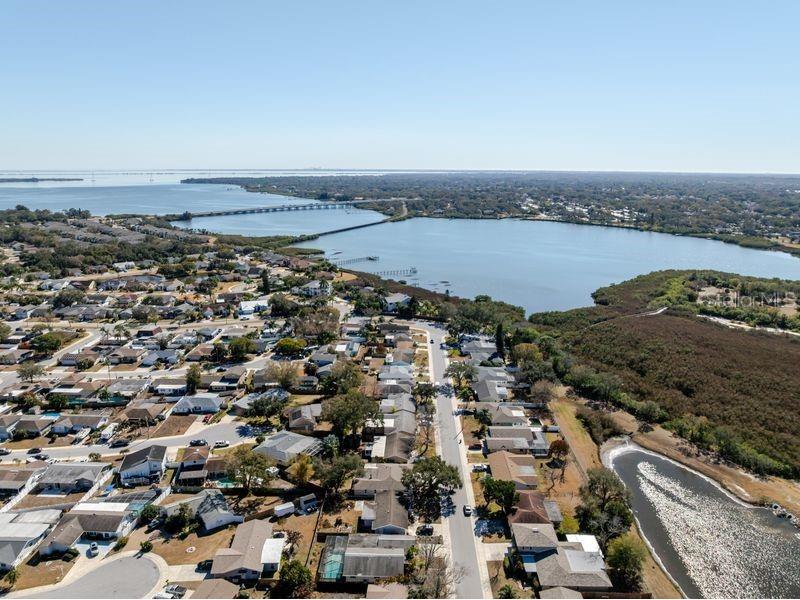 709 Lemonwood Drive Oldsmar FL 34677 TB8475735 image49