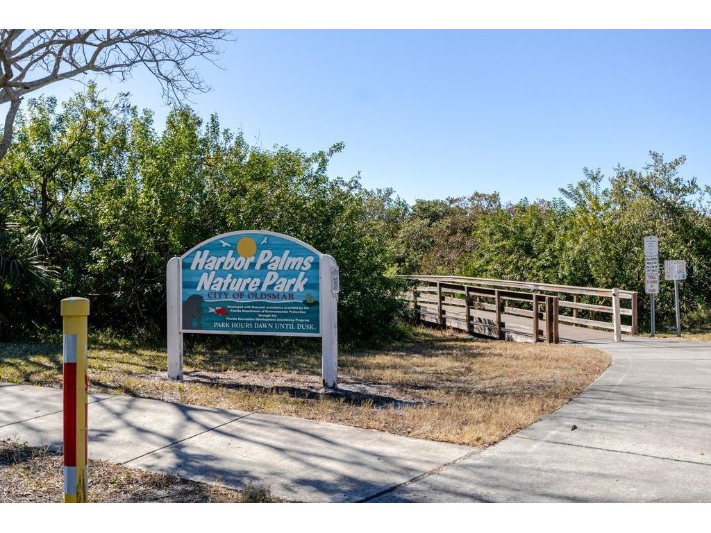 709 Lemonwood Drive Oldsmar FL 34677 TB8475735 image54