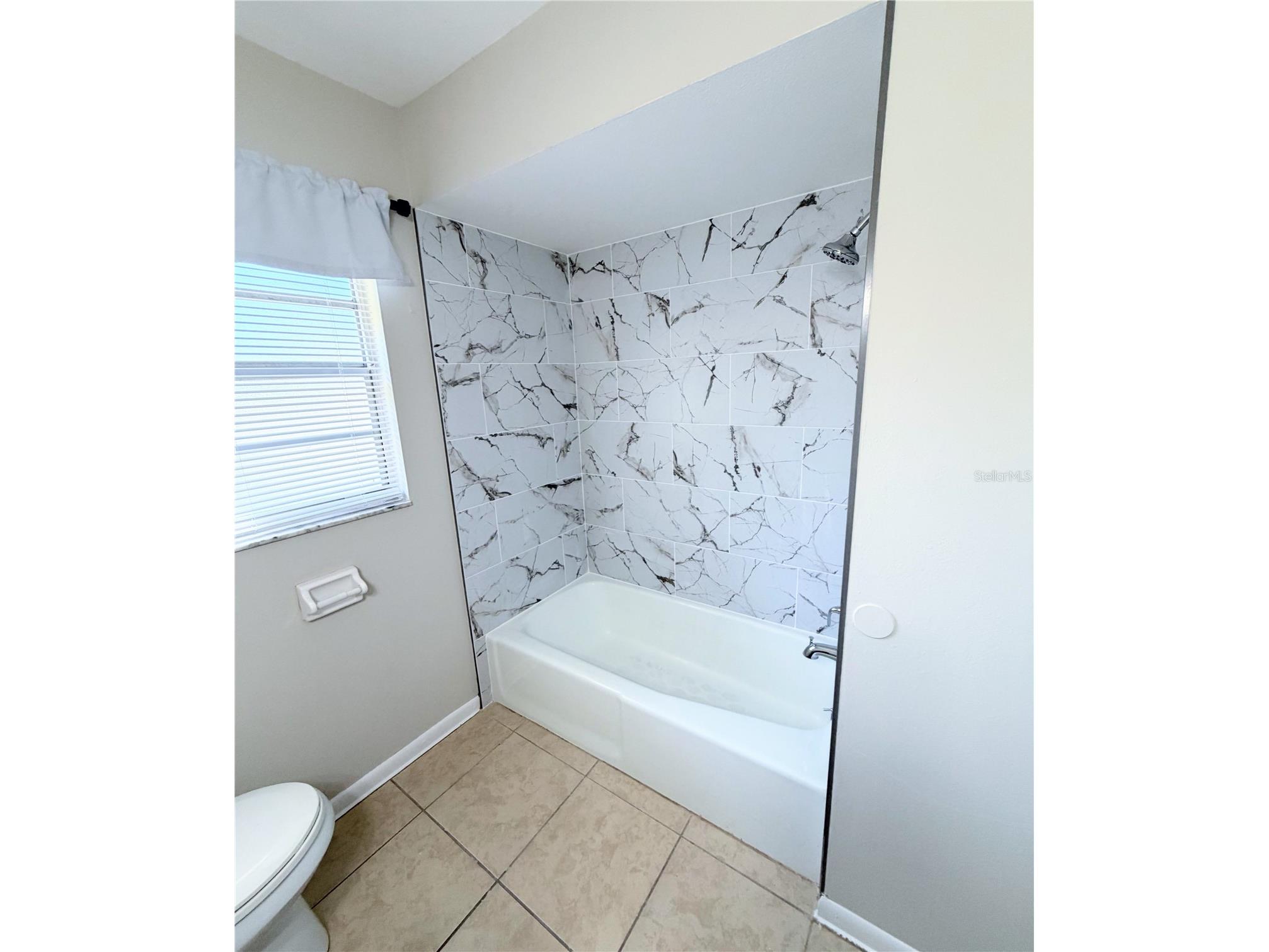 709 Lewis Street Fruitland Park FL 34731 O6392602 image10