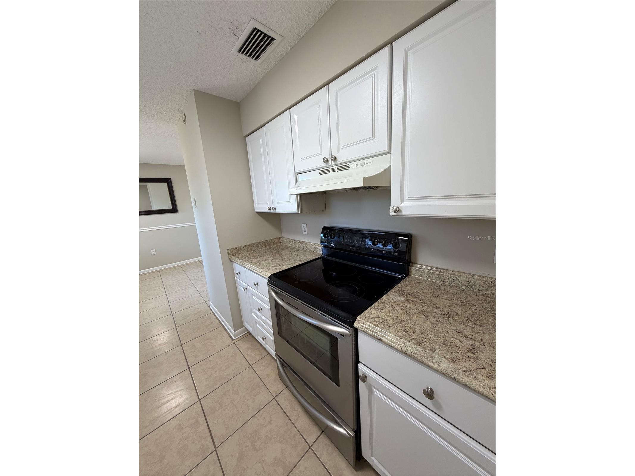 709 Lewis Street Fruitland Park FL 34731 O6392602 image6