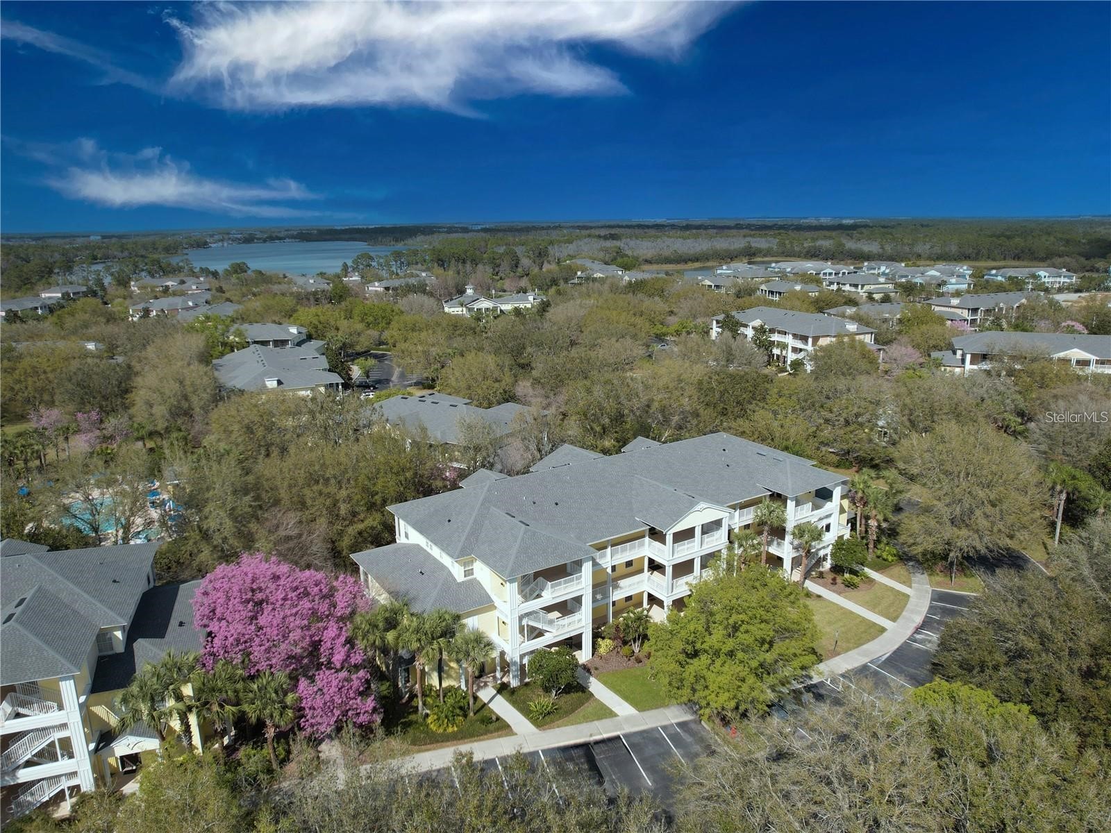 709 Lucaya Loop #1203 Davenport FL 33897 TB8510407 image27
