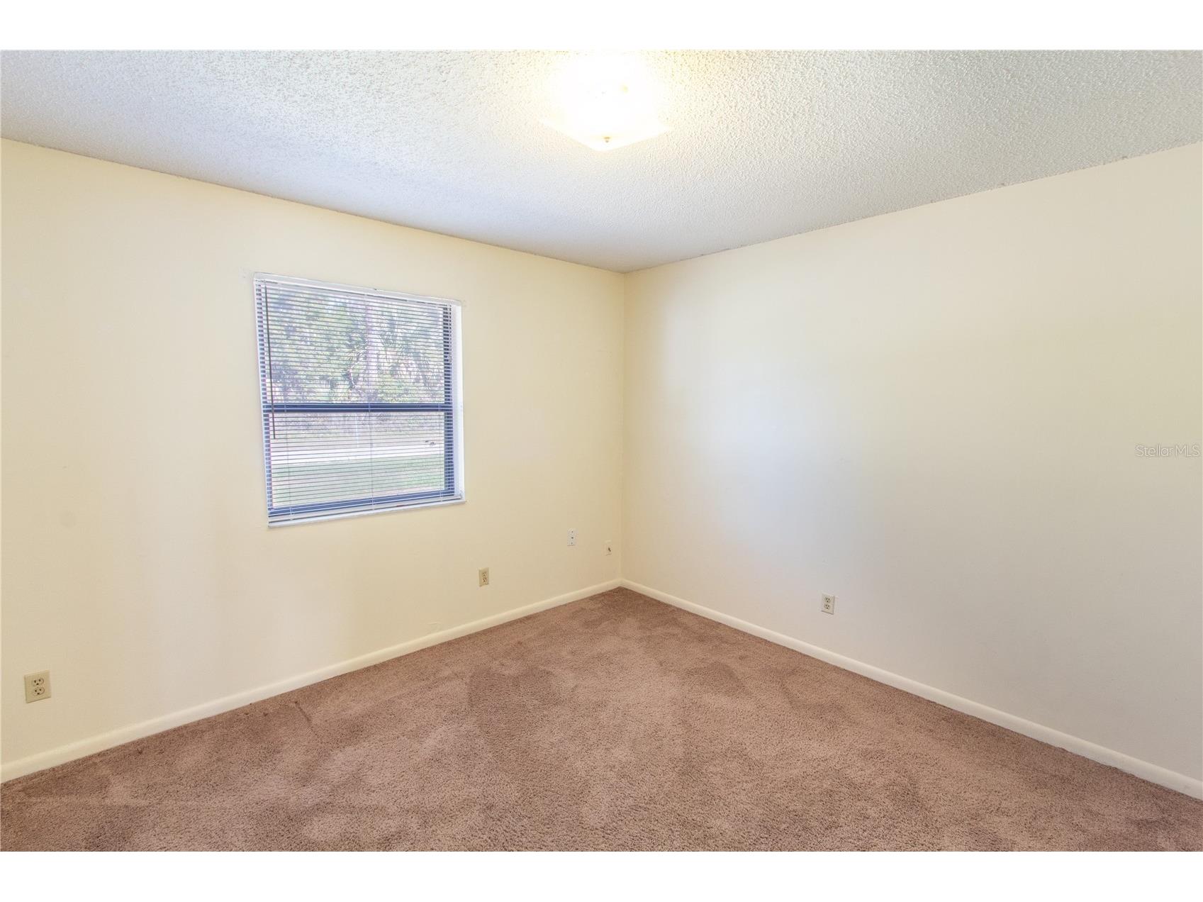 709 Mosley Road Lake Alfred FL 33850 P4938581 image12
