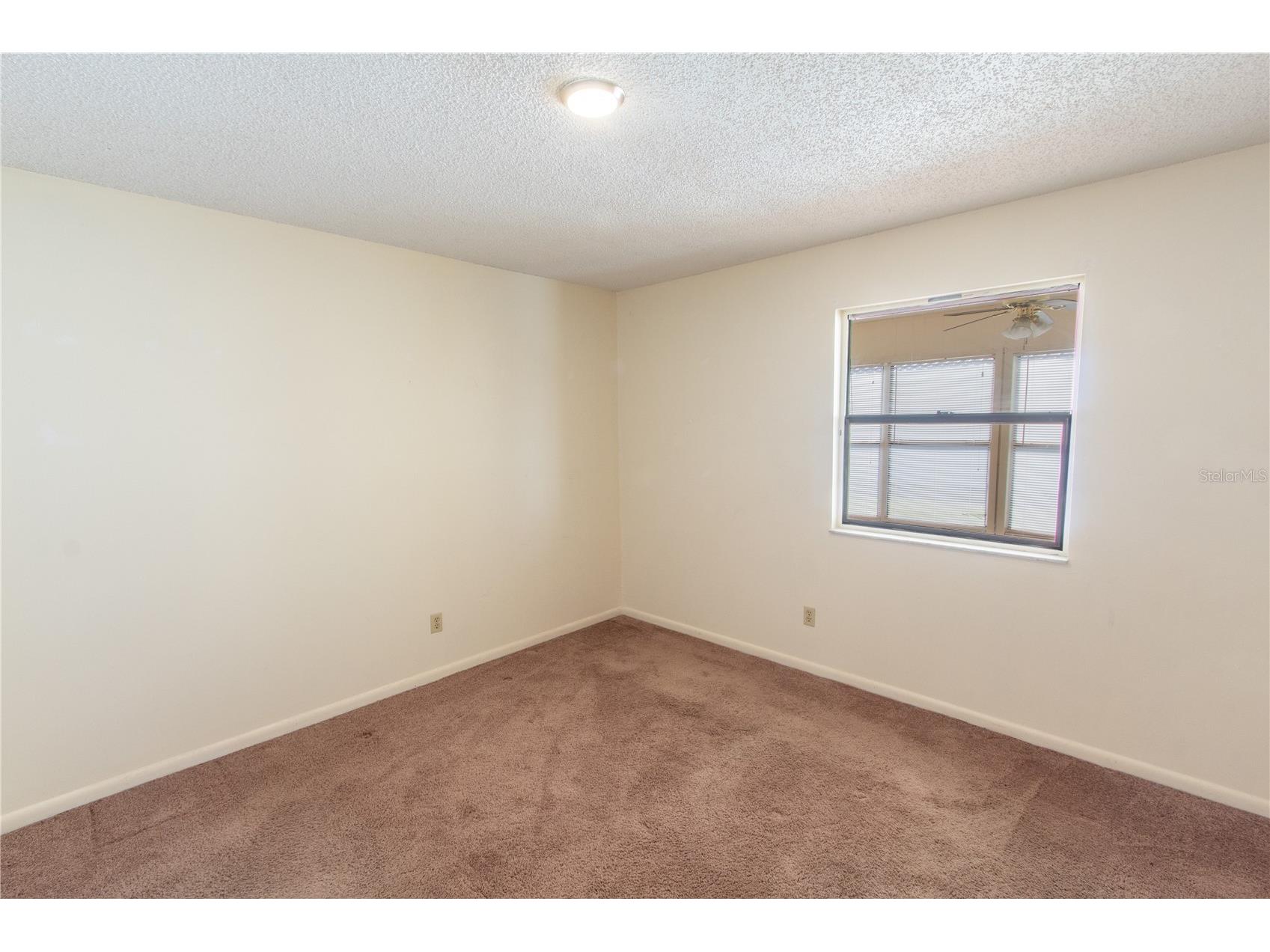 709 Mosley Road Lake Alfred FL 33850 P4938581 image9