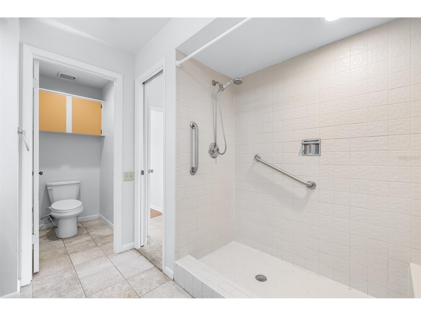 709 Oak Park Place Brandon FL 33511 TB8508136 image27