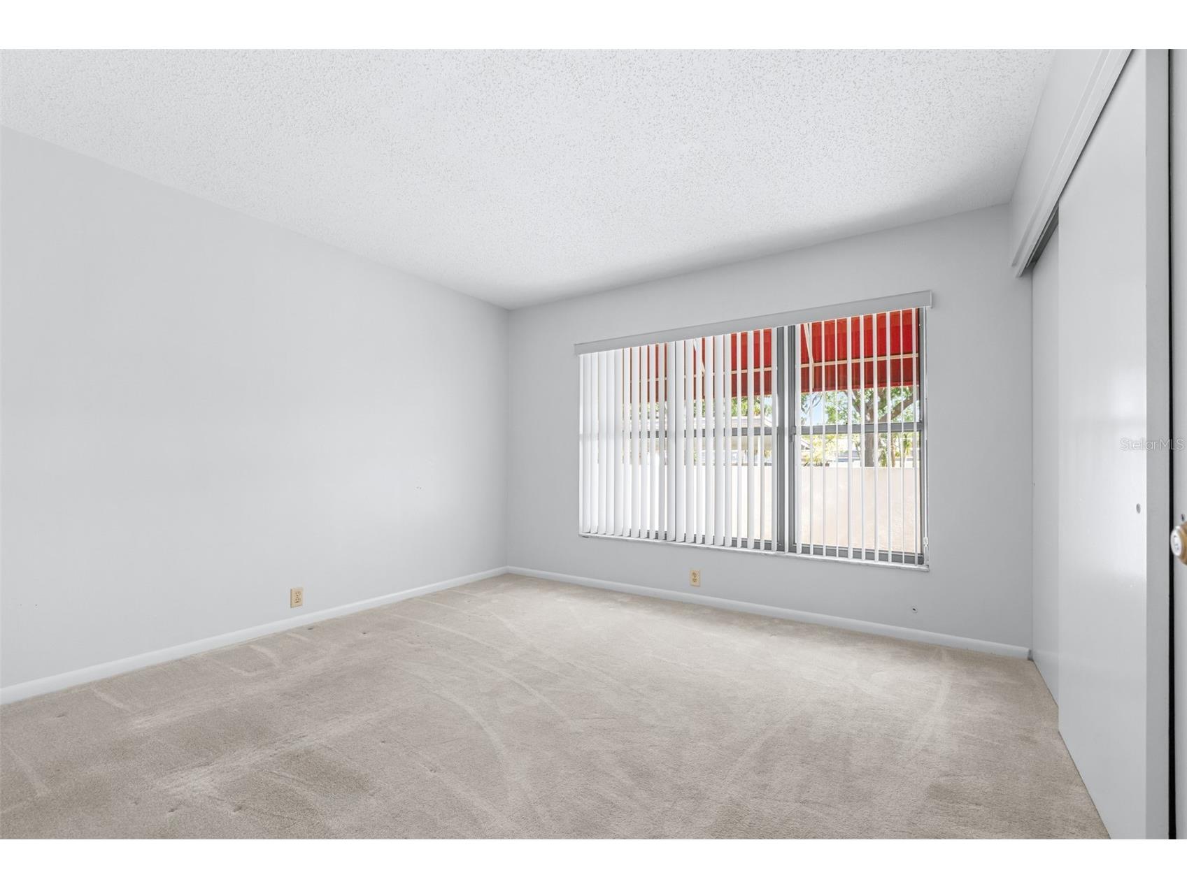 709 Oak Park Place Brandon FL 33511 TB8508136 image29