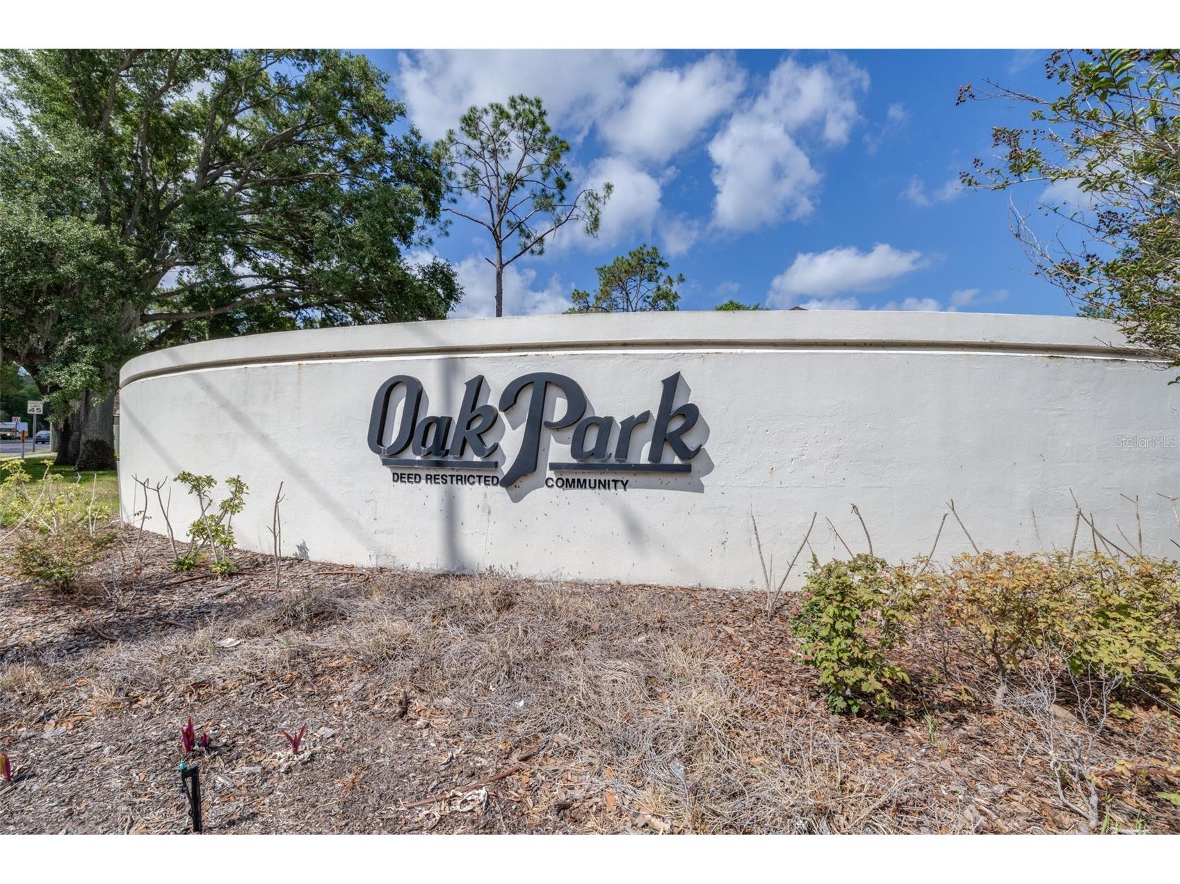 709 Oak Park Place Brandon FL 33511 TB8508136 image47