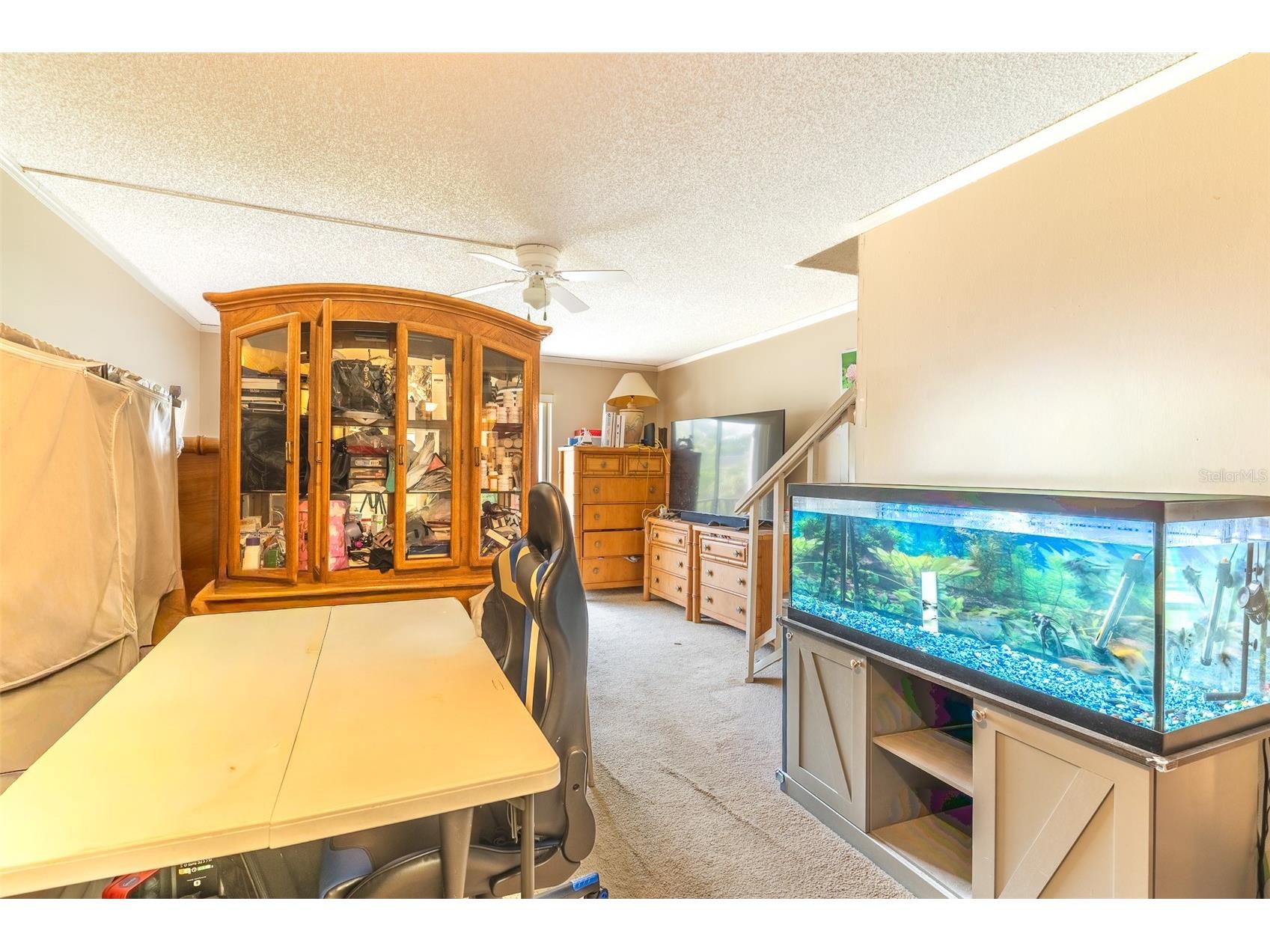 709 Russell Lane #222 Brandon FL 33510 L4960352 image3