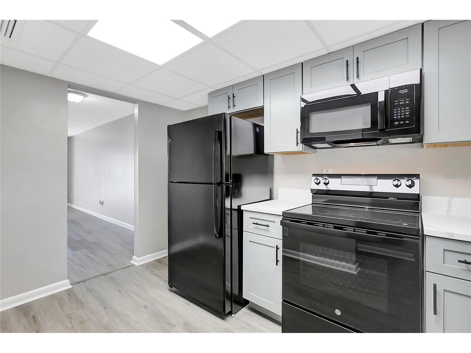 709 Russell Lane #C221 Brandon FL 33510 TB8496009 image30