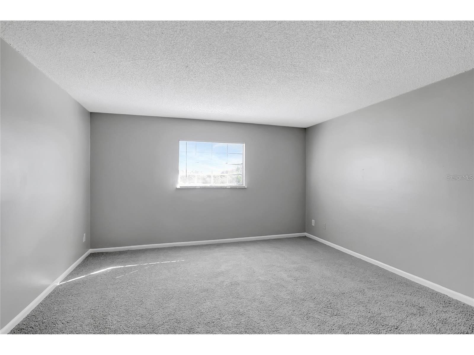 709 Russell Lane #C221 Brandon FL 33510 TB8496009 image8