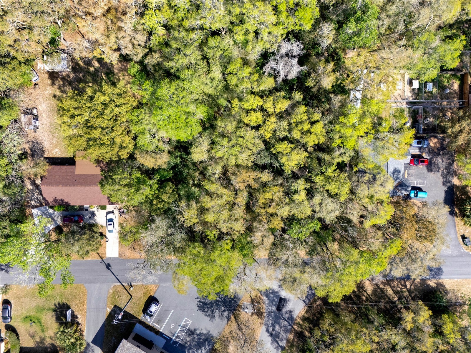 709 S Smith Avenue Inverness FL 34453 O6291512 image13