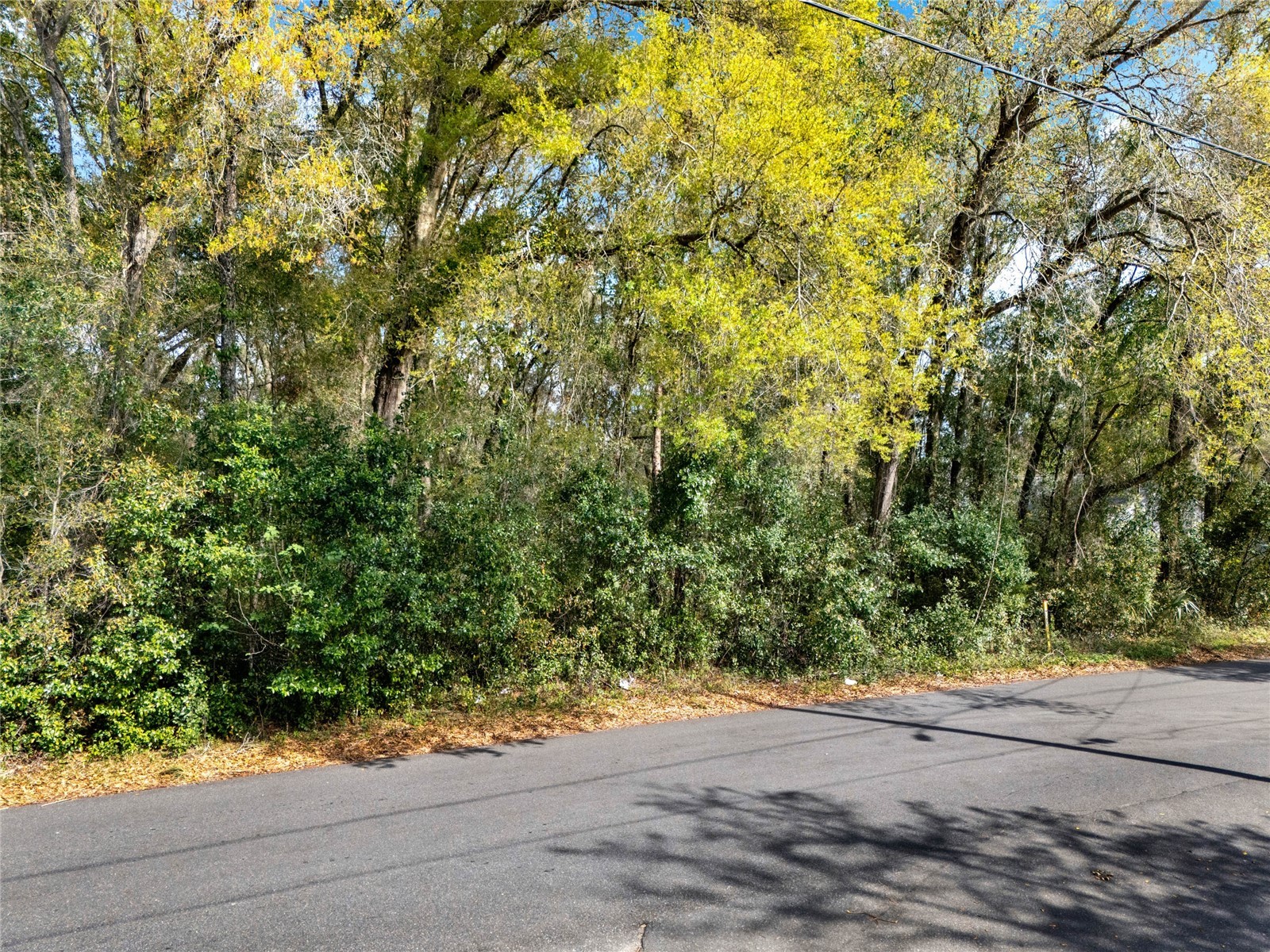 709 S Smith Avenue Inverness FL 34453 O6291512 image4