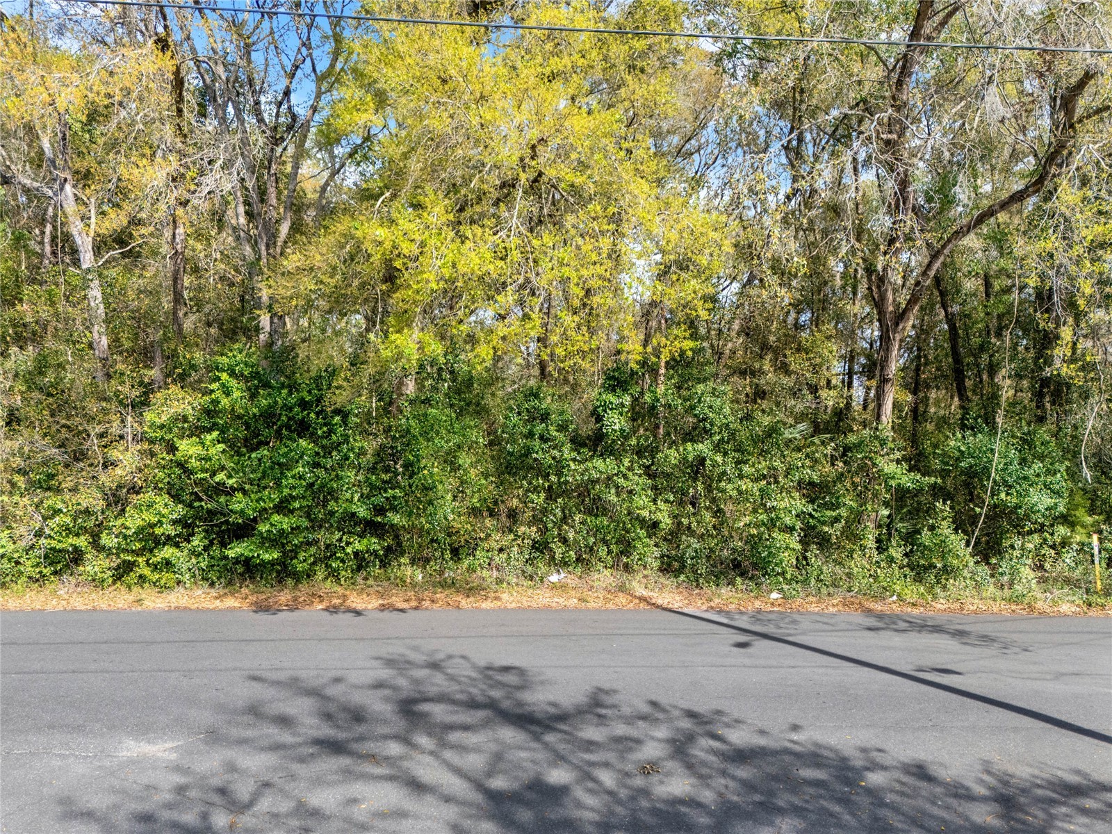 709 S Smith Avenue Inverness FL 34453 O6291512 image5