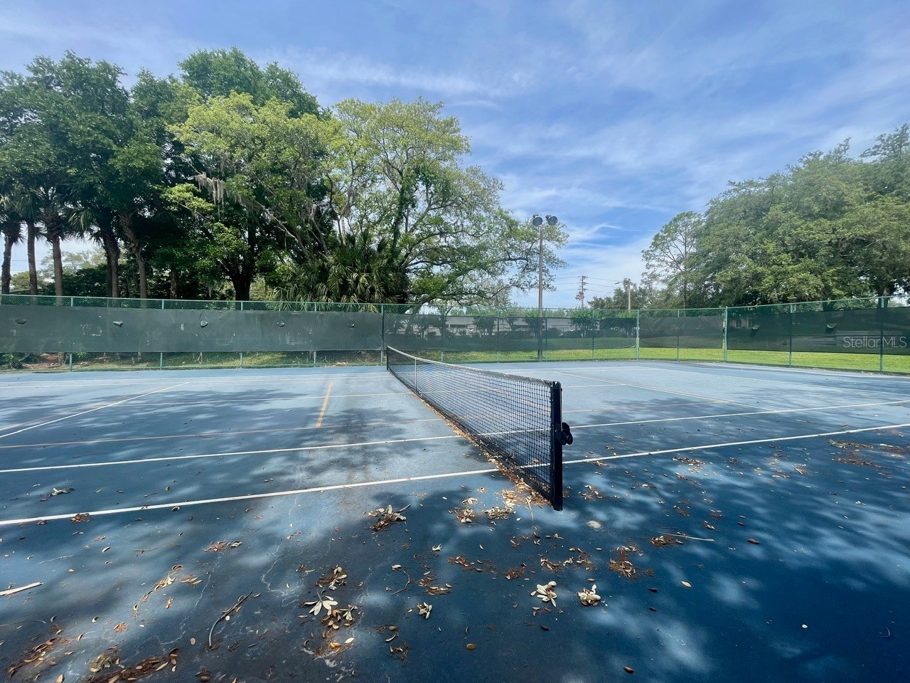 709 Secret Harbor Lane #115 Lake Mary FL 32746 O6405636 image29