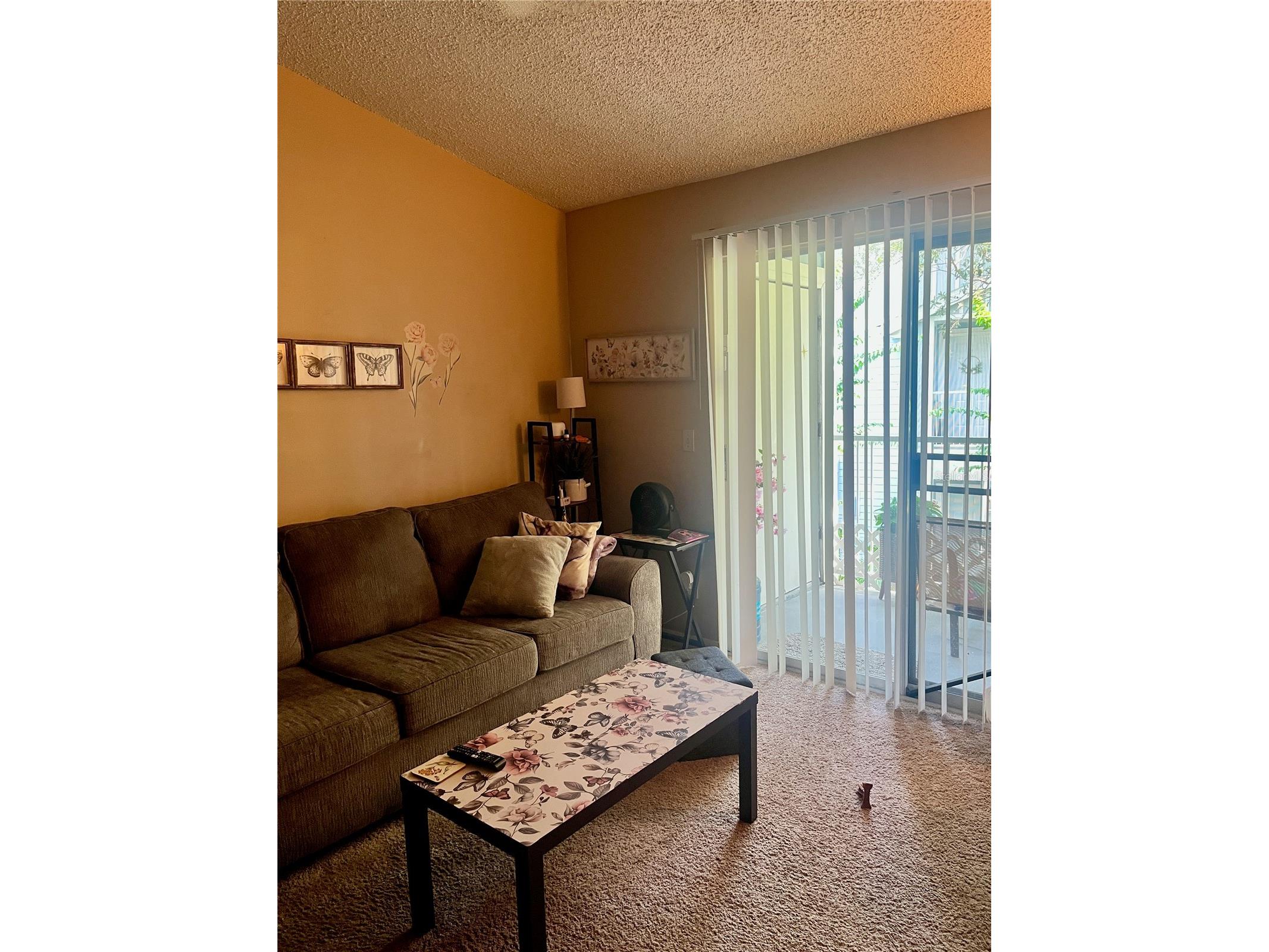 709 Secret Harbor Lane #205 Lake Mary FL 32746 O6426227 image3