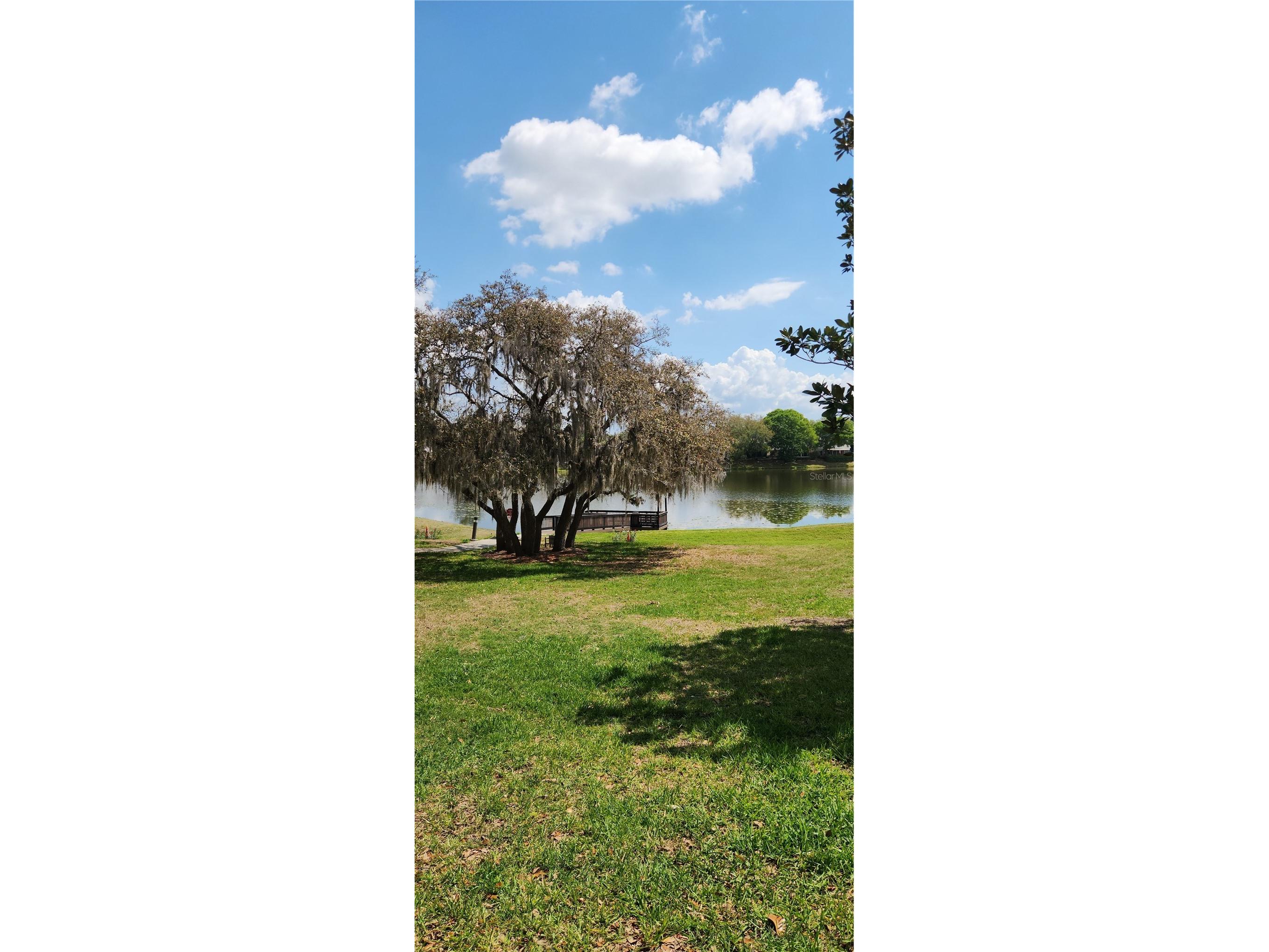 709 Secret Harbor Lane #213 Lake Mary FL 32746 O6394205 image10