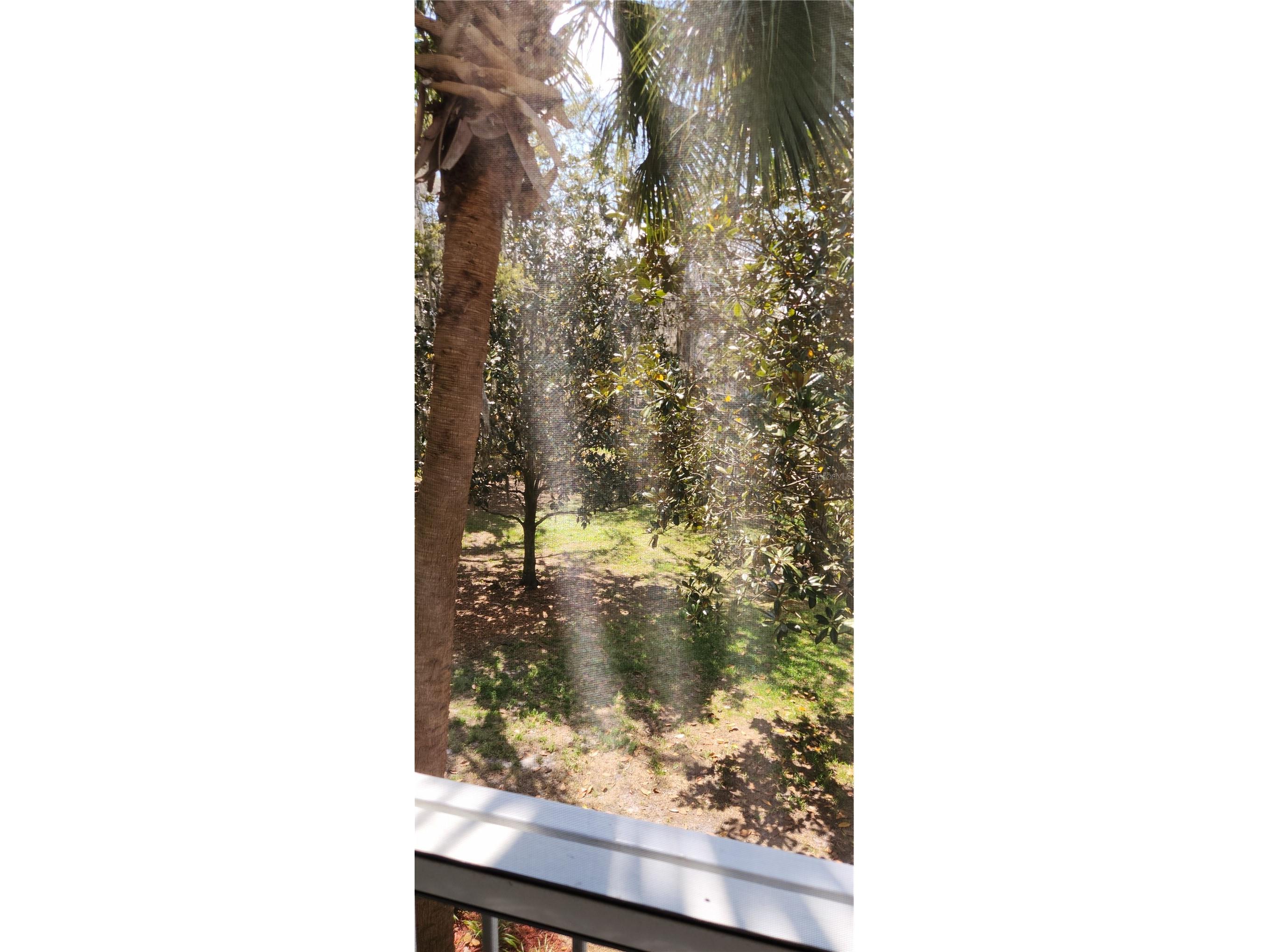 709 Secret Harbor Lane #213 Lake Mary FL 32746 O6394205 image11