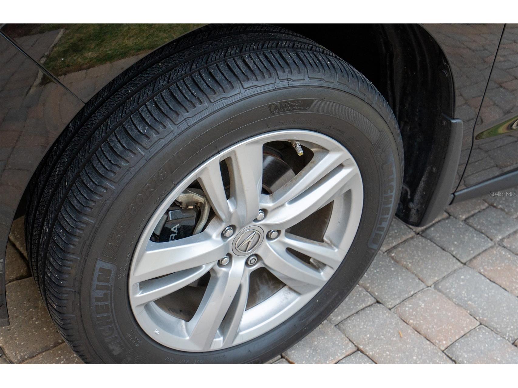 709 Toria Lane Saint Augustine FL 32095 FC314490 image53