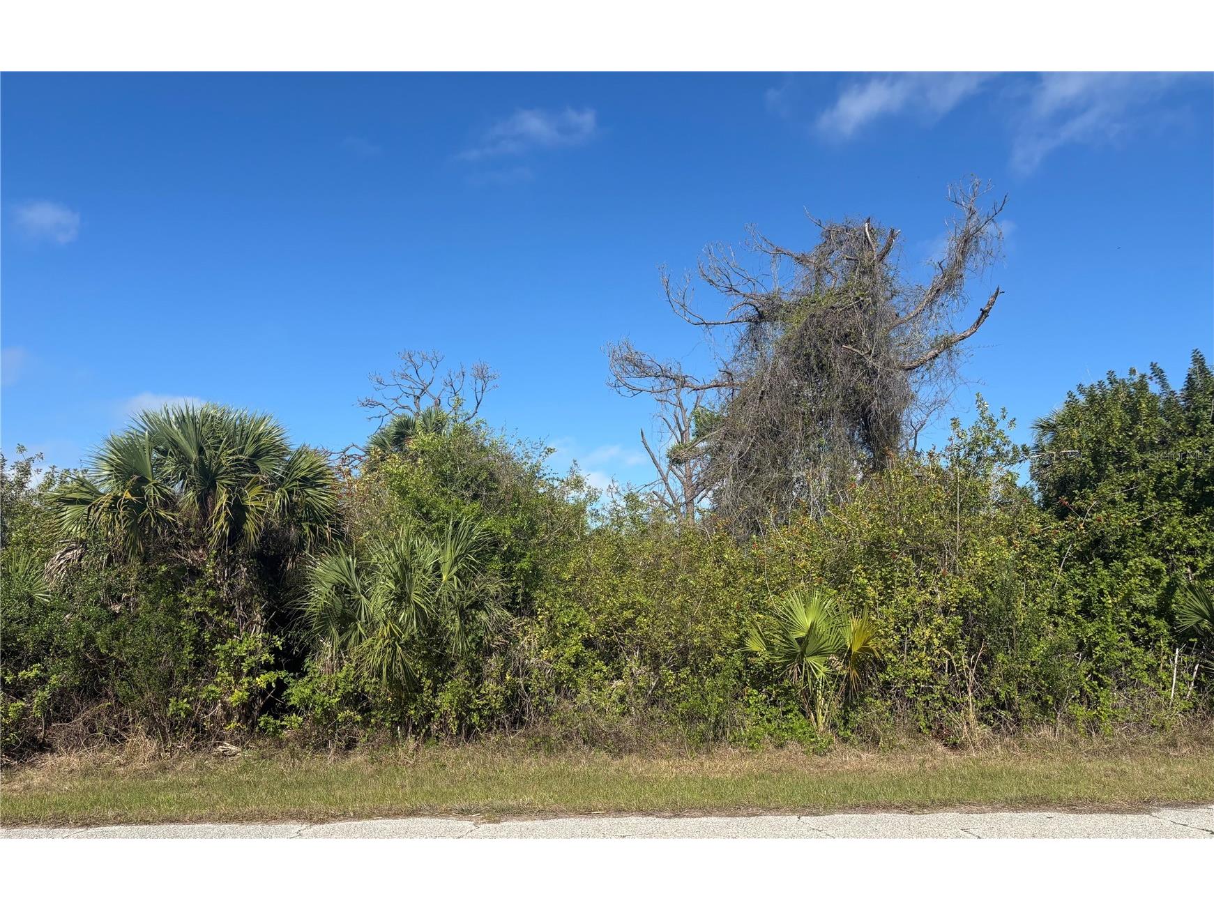 7091 Embry Street Port Charlotte FL 33981 C7524307 image2