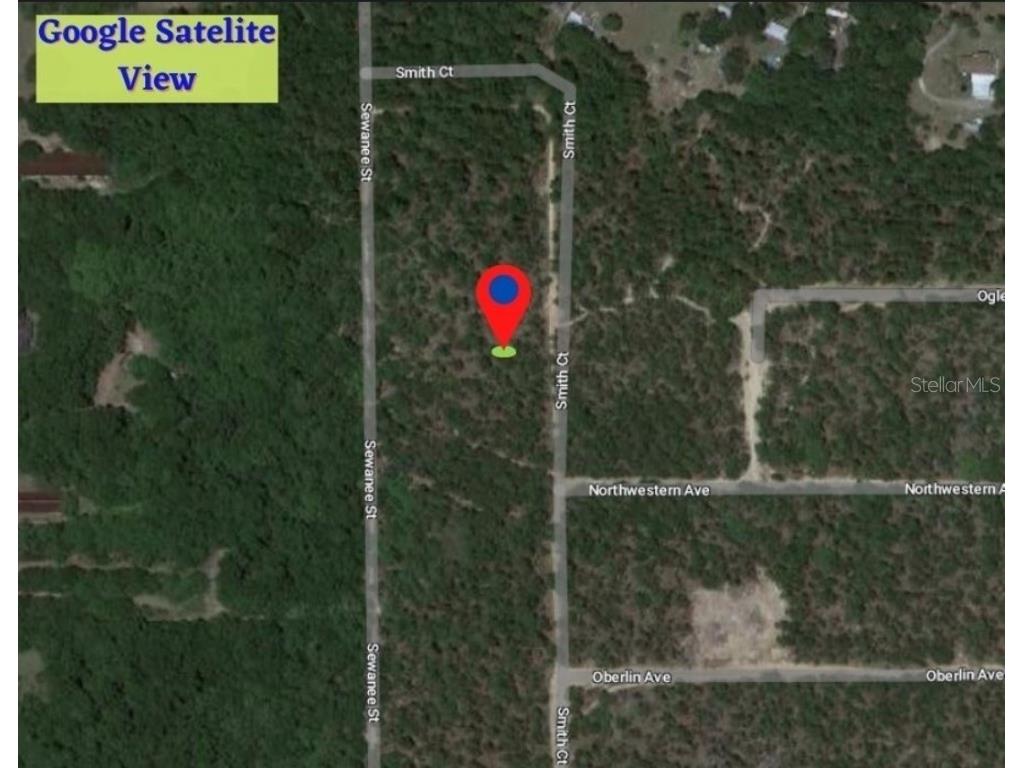7091 Sewanee Street Keystone Heights FL 32656 OM656371 image1