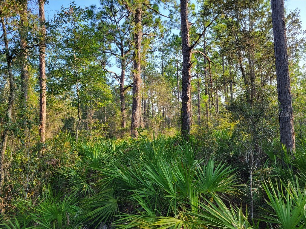 7093 W Polaris Court Homosassa FL 34446 OM662032 image1