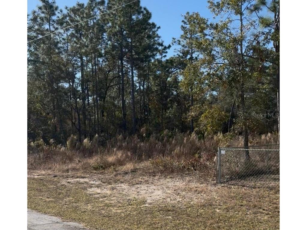 7094 N Maltese Drive Citrus Springs FL 34433 O6327239 image4