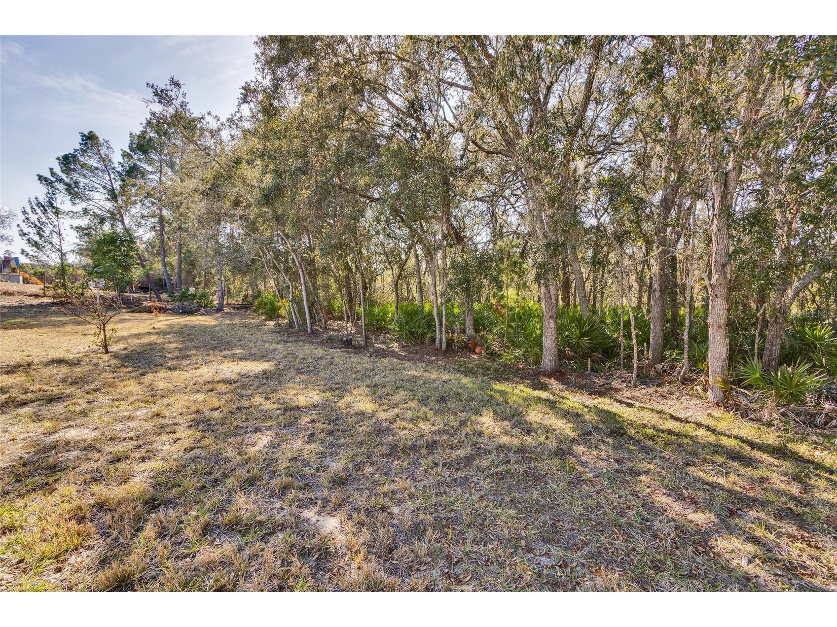 7095 Blackbird Avenue Weeki Wachee FL 34613 W7882838 image36