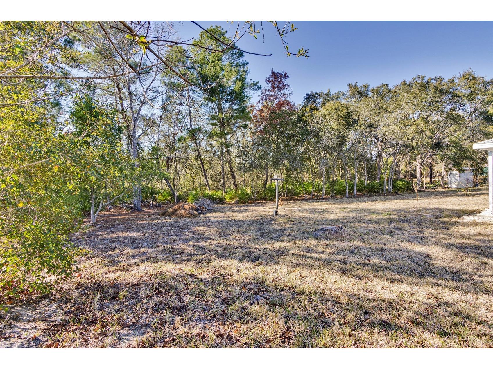 7095 Blackbird Avenue Weeki Wachee FL 34613 W7882838 image38