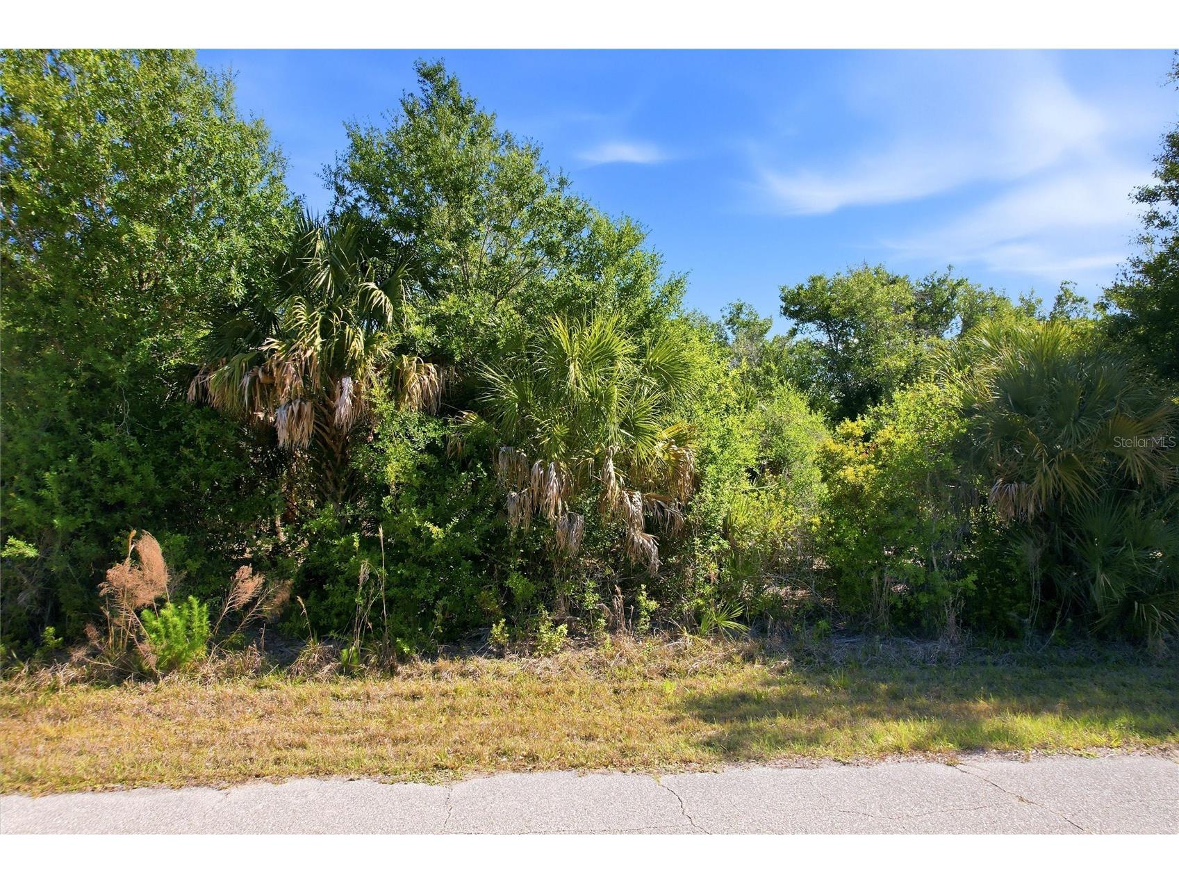 7095 Freeberg Circle Port Charlotte FL 33981 NS1088058 image1