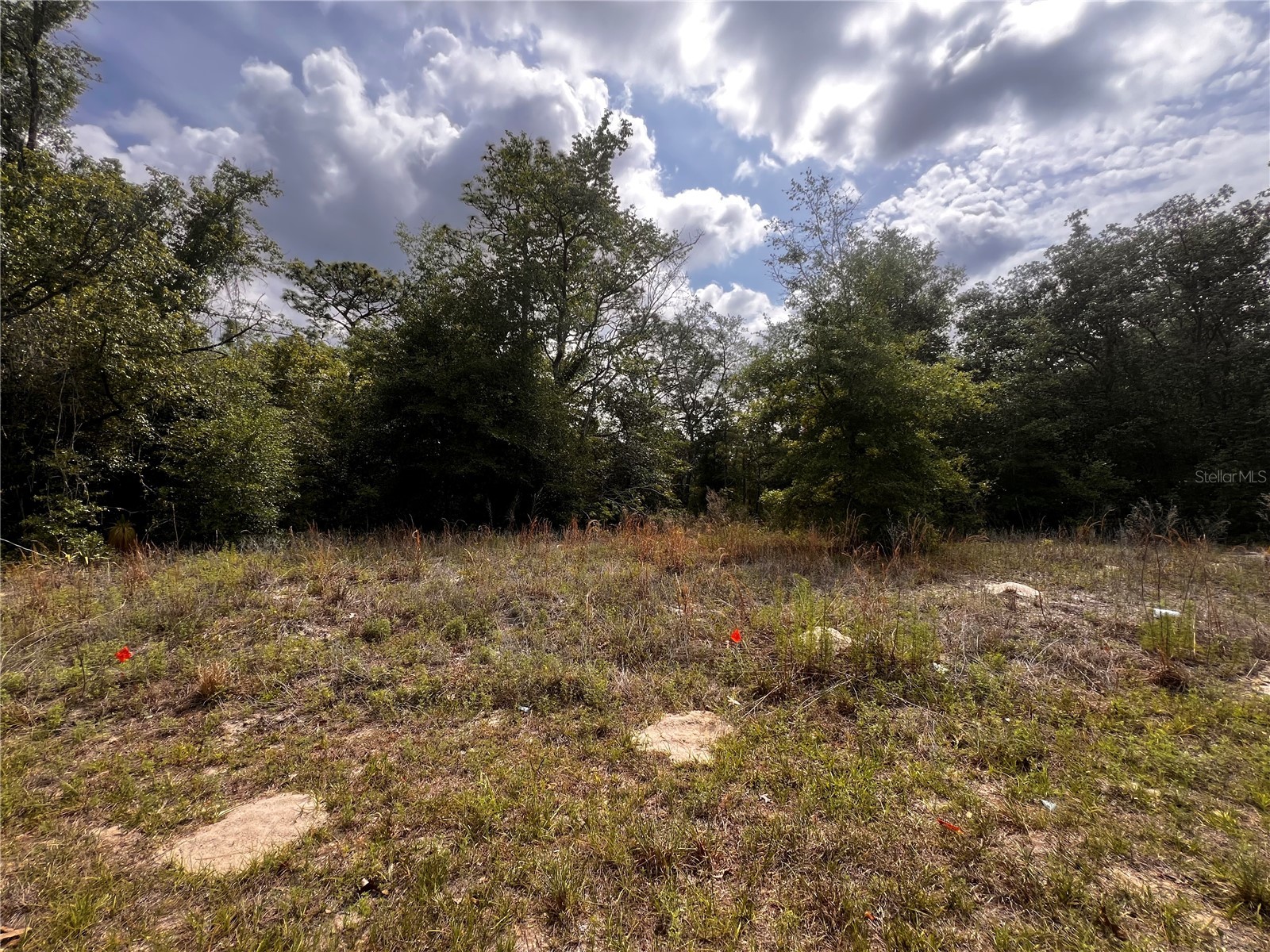 7095 N Foxdale Drive Citrus Springs FL 34434 W7885692 image1