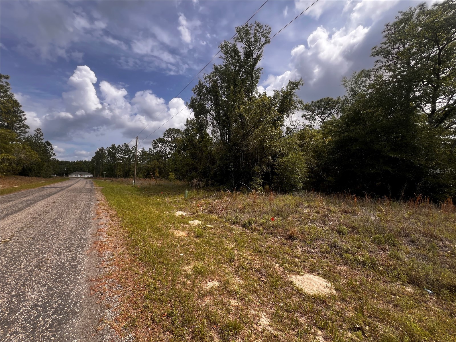 7095 N Foxdale Drive Citrus Springs FL 34434 W7885692 image10