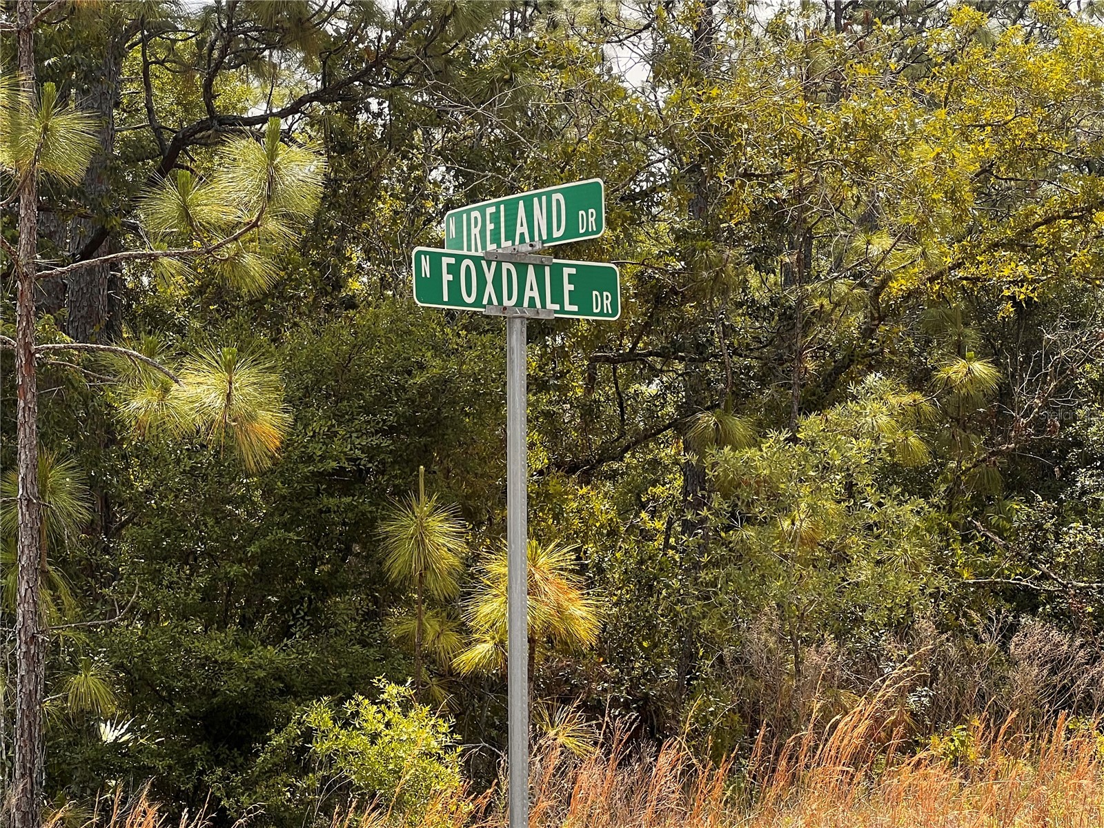7095 N Foxdale Drive Citrus Springs FL 34434 W7885692 image11