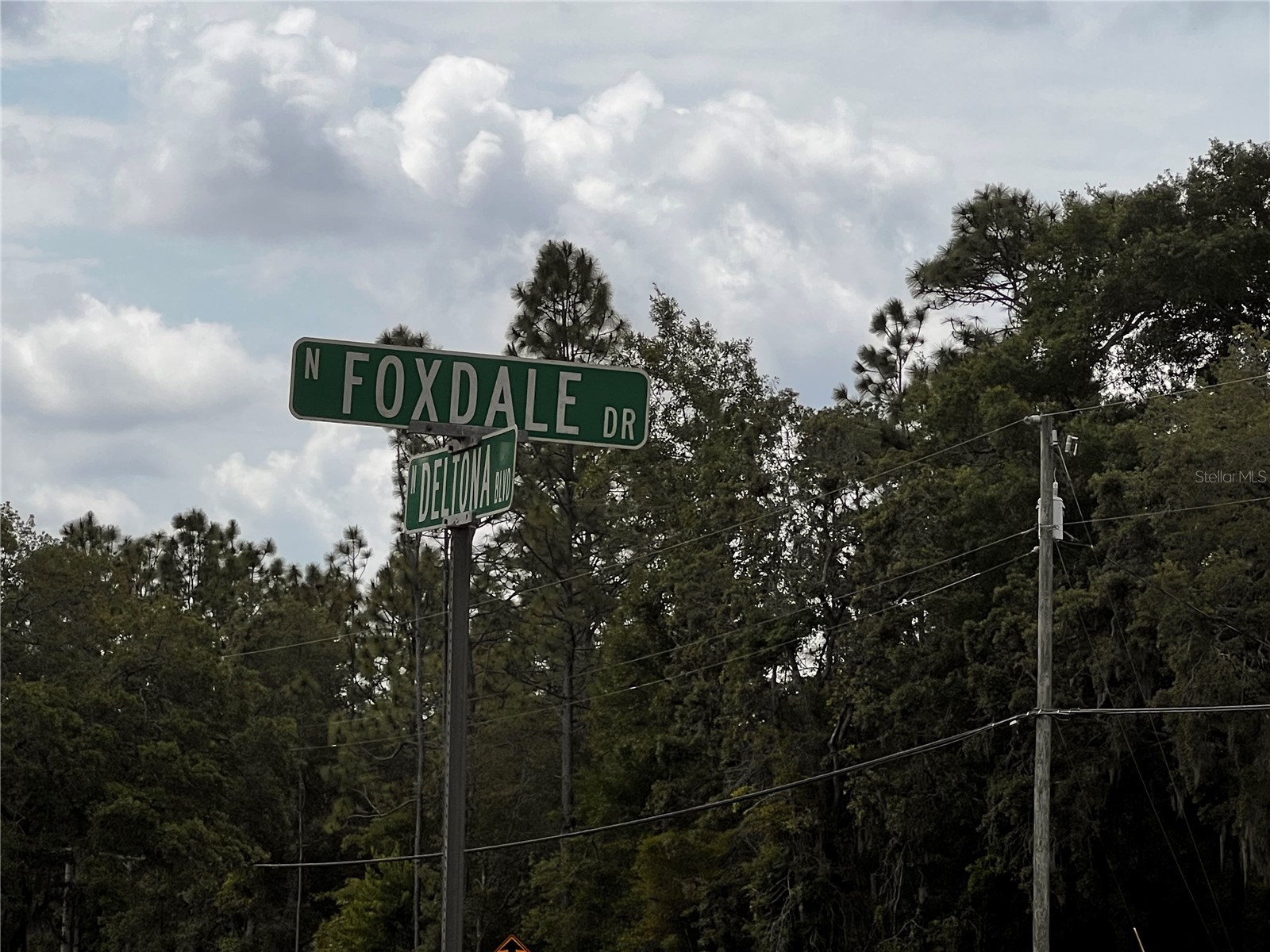 7095 N Foxdale Drive Citrus Springs FL 34434 W7885692 image12