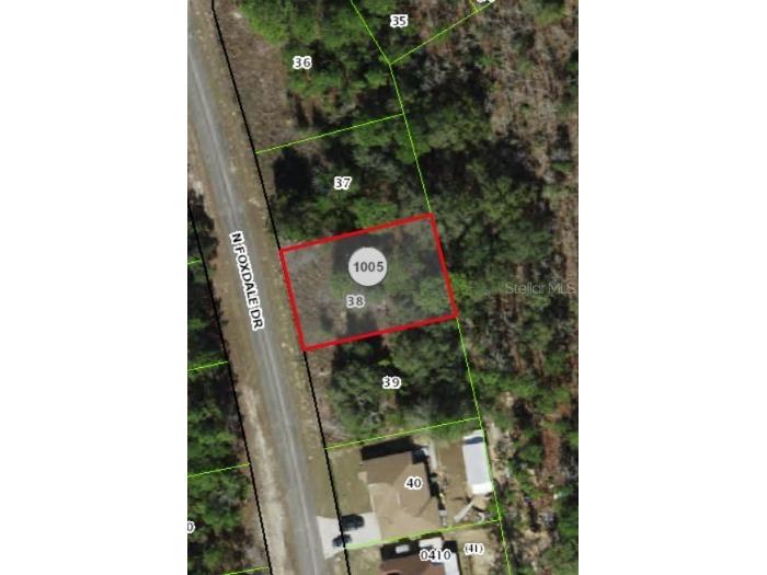 7095 N Foxdale Drive Citrus Springs FL 34434 W7885692 image13
