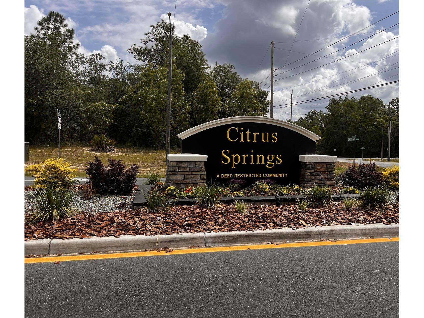 7095 N Foxdale Drive Citrus Springs FL 34434 W7885692 image2