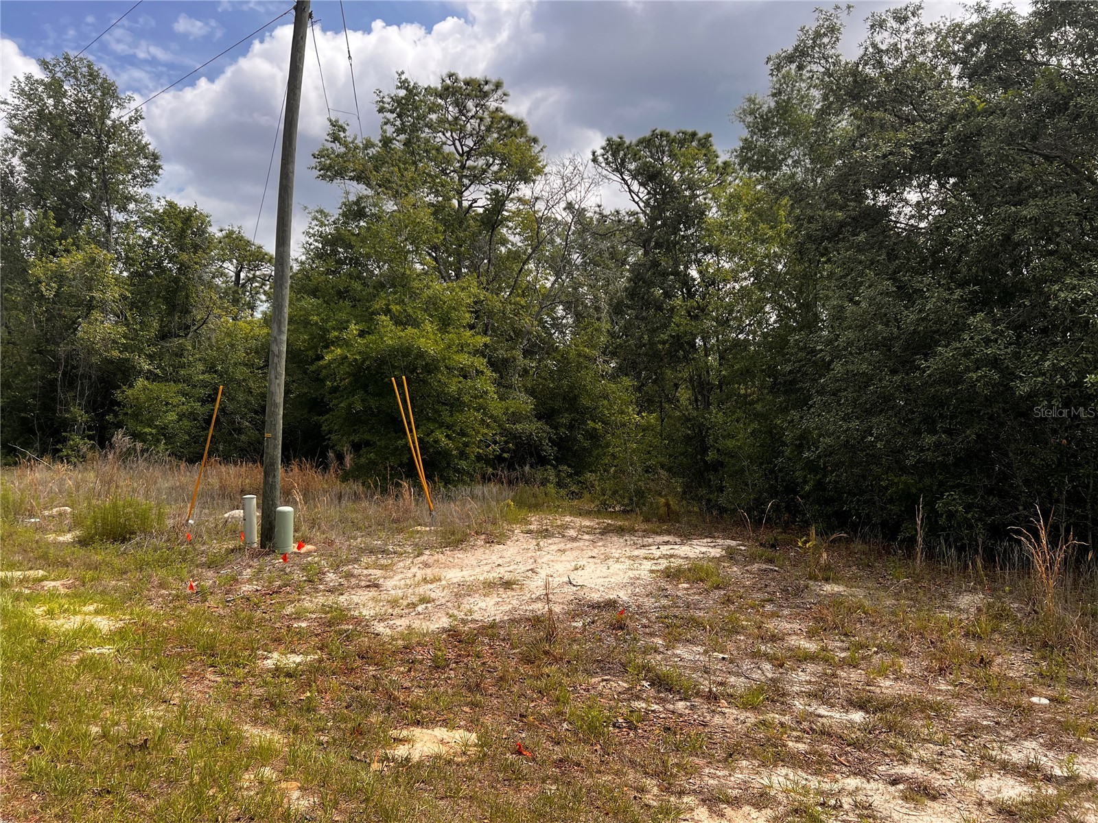 7095 N Foxdale Drive Citrus Springs FL 34434 W7885692 image6