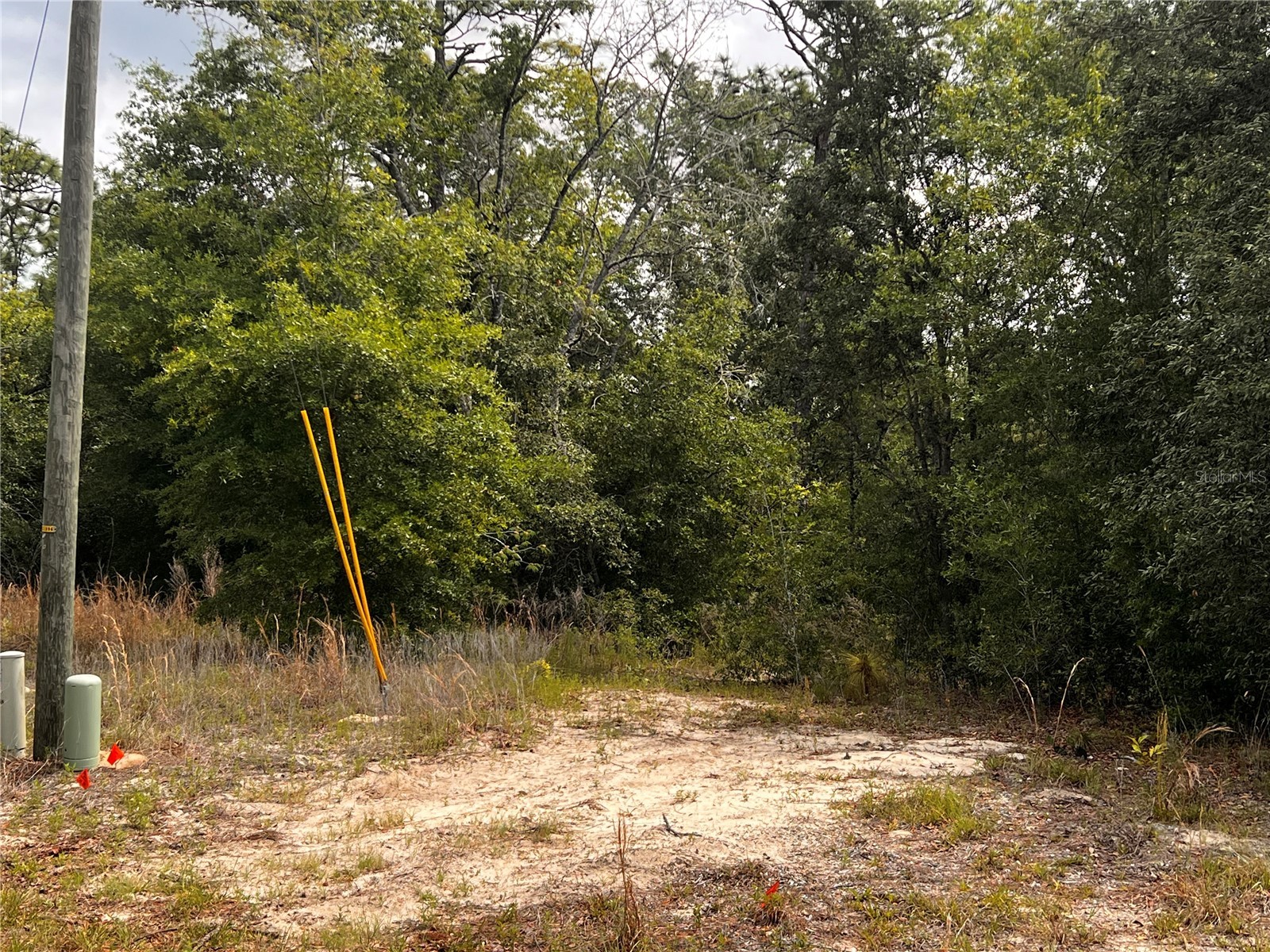 7095 N Foxdale Drive Citrus Springs FL 34434 W7885692 image7
